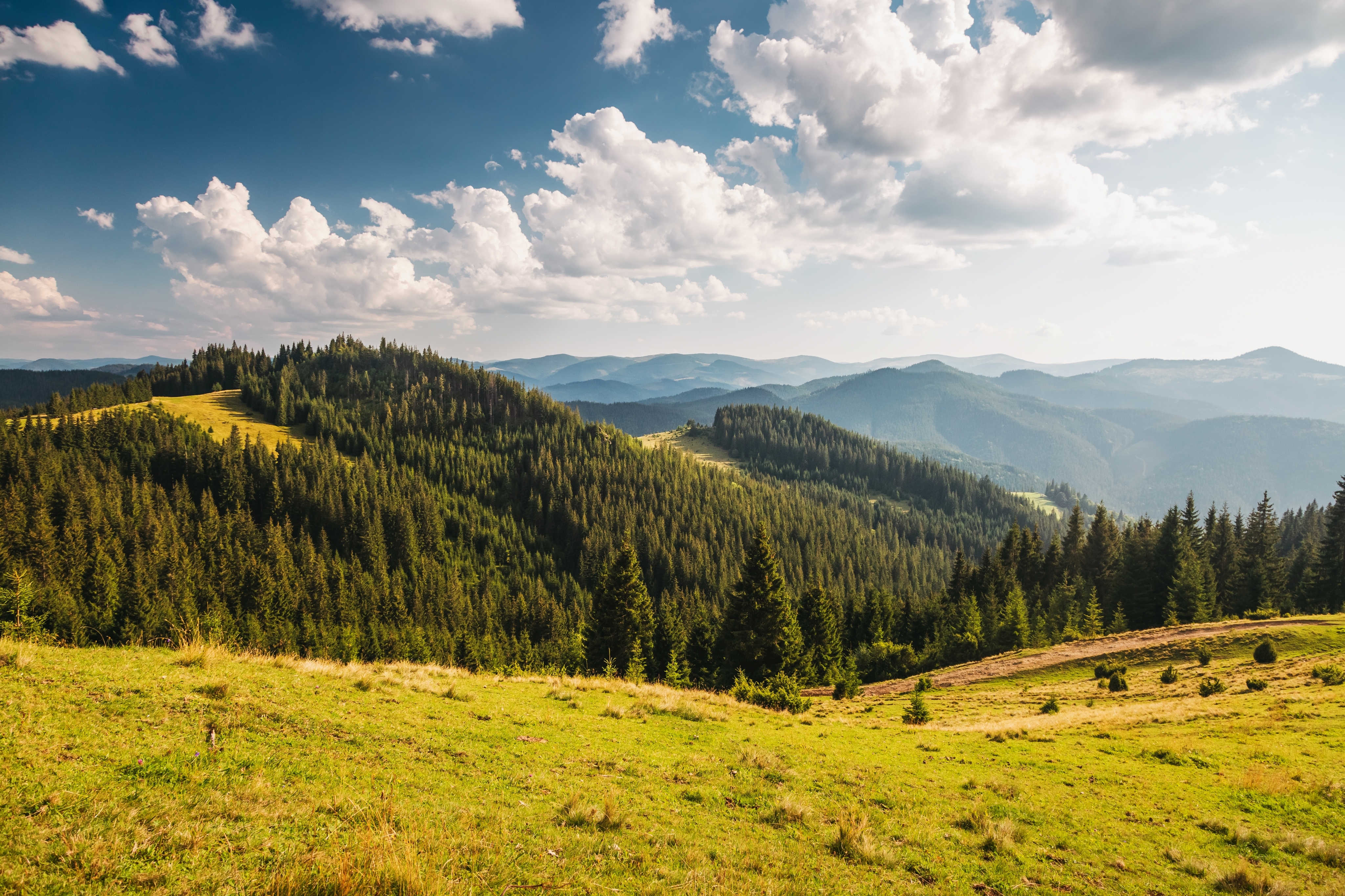 Lush green mountain landscape